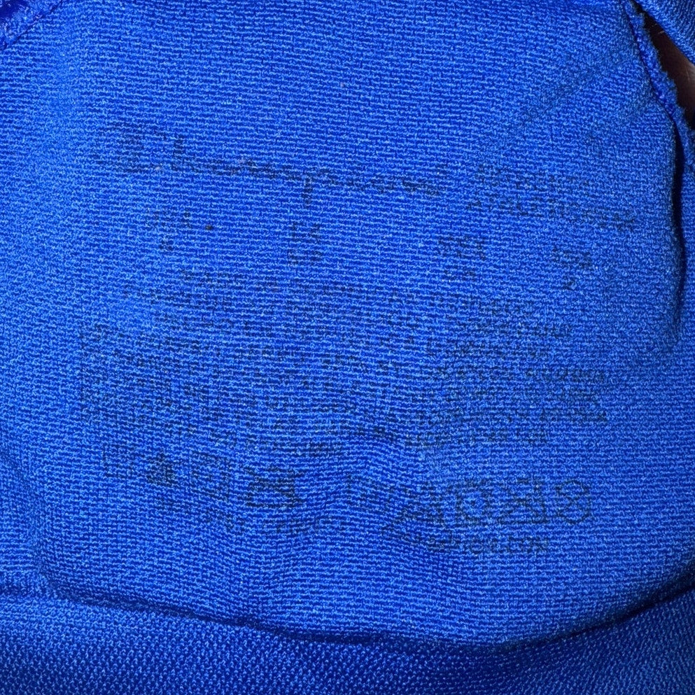 Champion Blue Sports Bra
