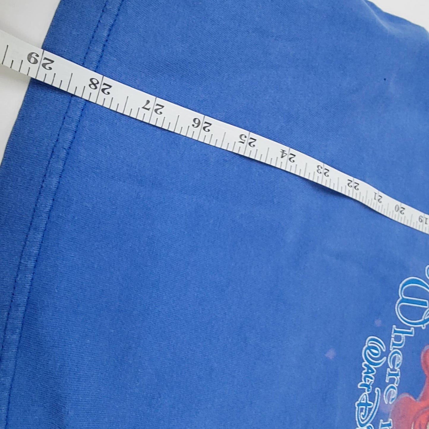 Vintage 90s Walt Disney World Blue Tank Top - L
