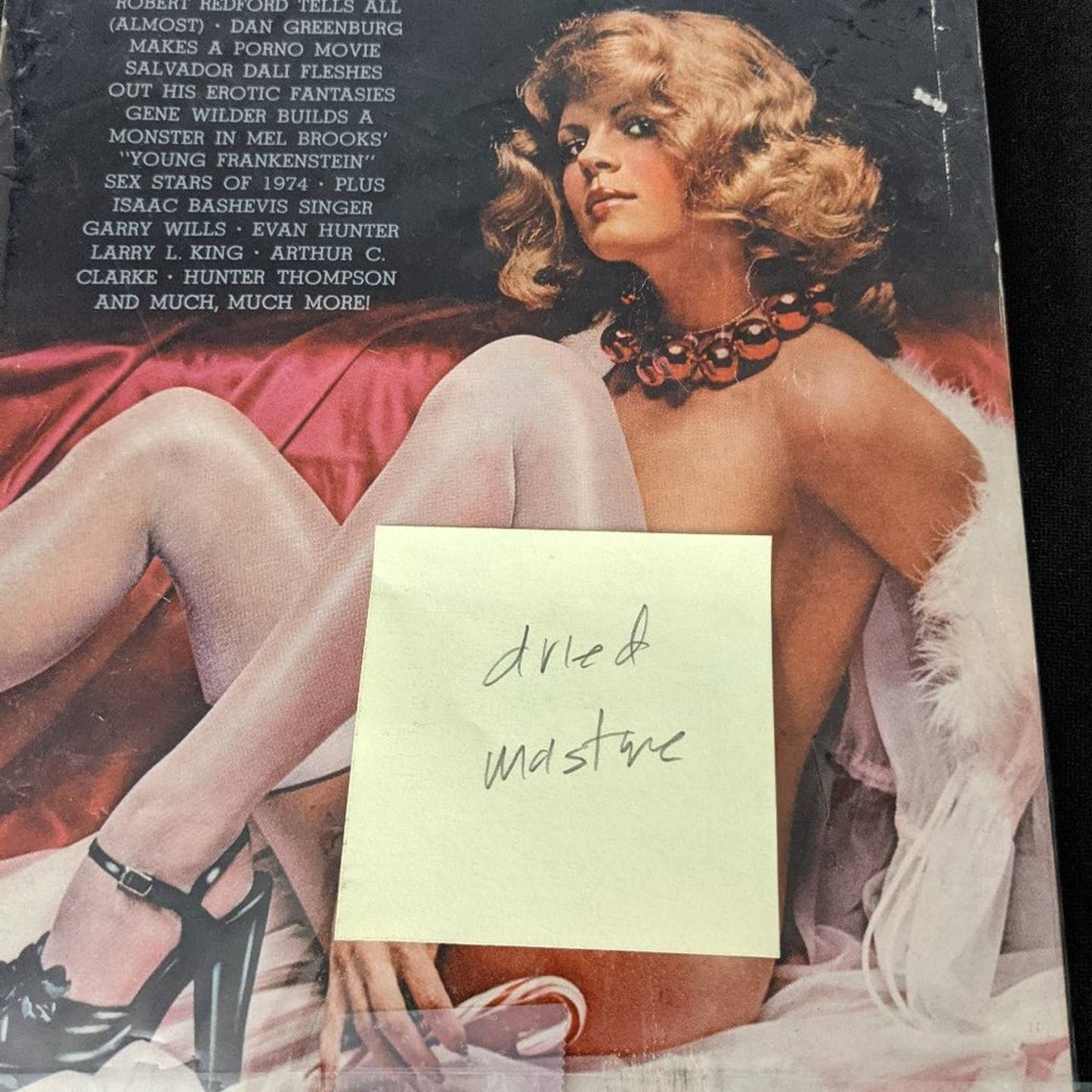 Playboy Magazine │ December 1974