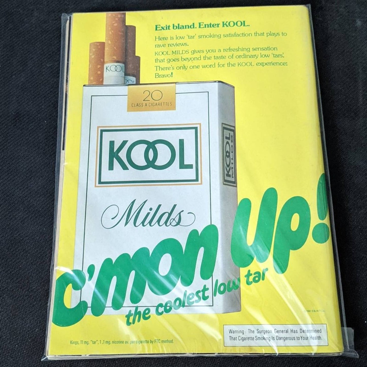 Playboy Magazine │ March 1981