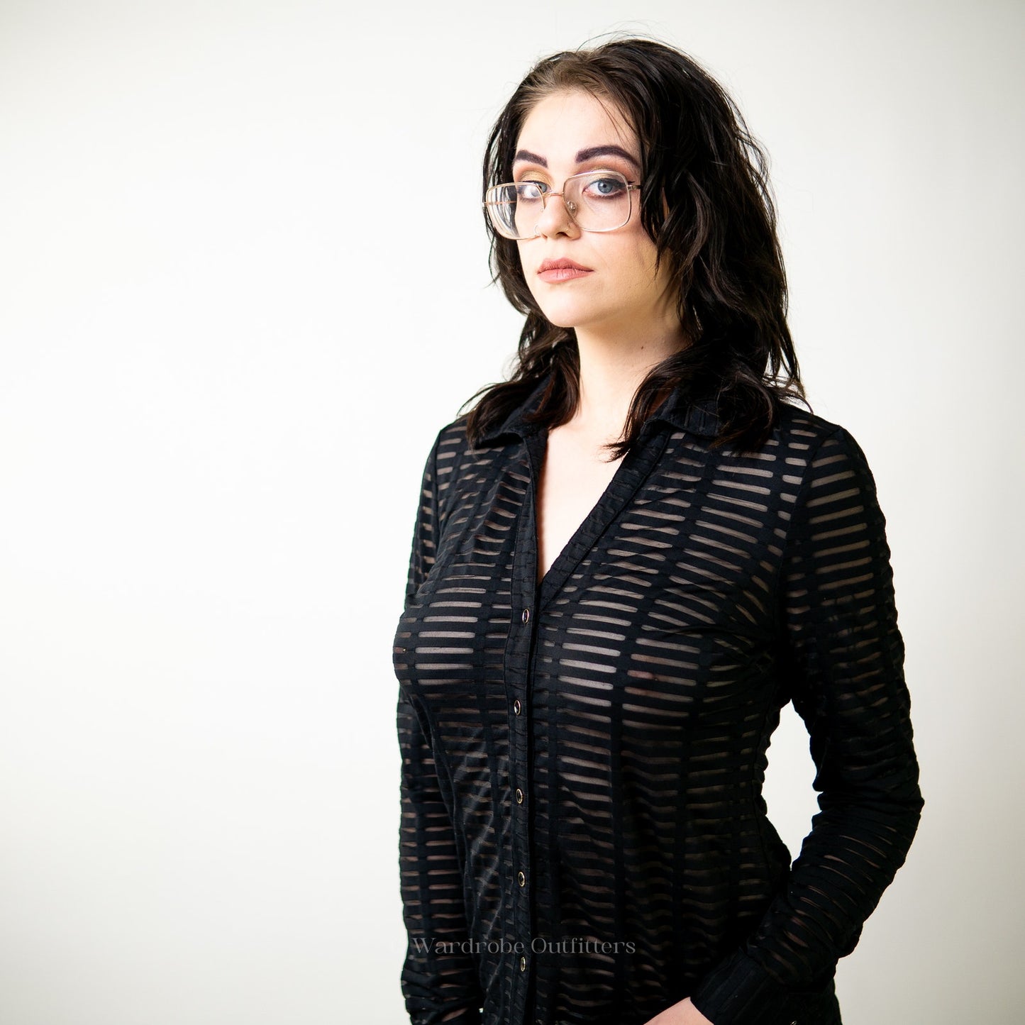 Black Sheer Mesh Stripe Panel Long Sleeve Blouse by Cache