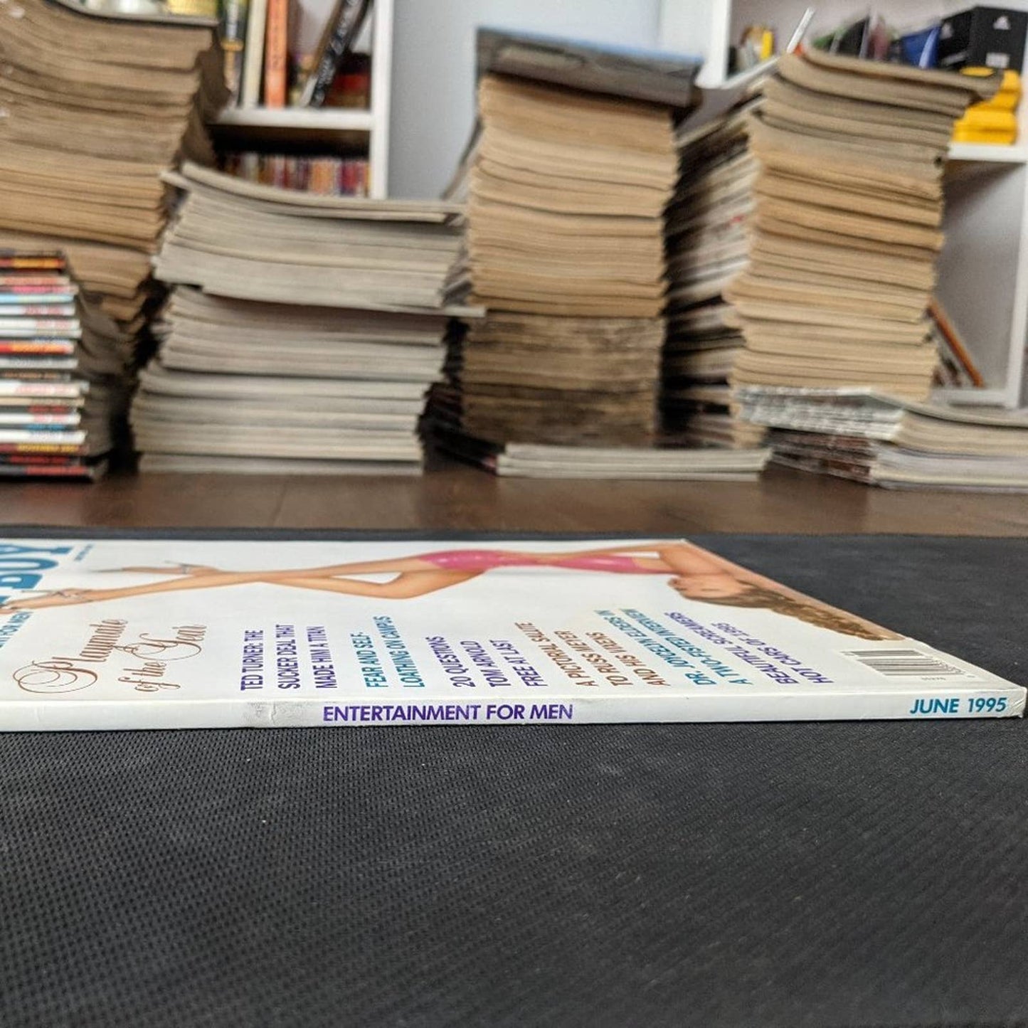 Playboy Magazine │ June 1995