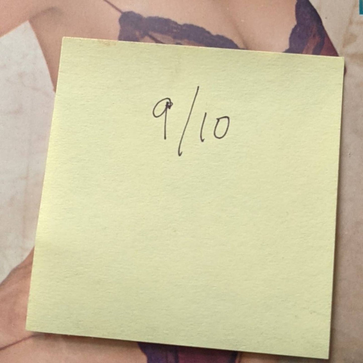 Playboy Magazine │ April 1981