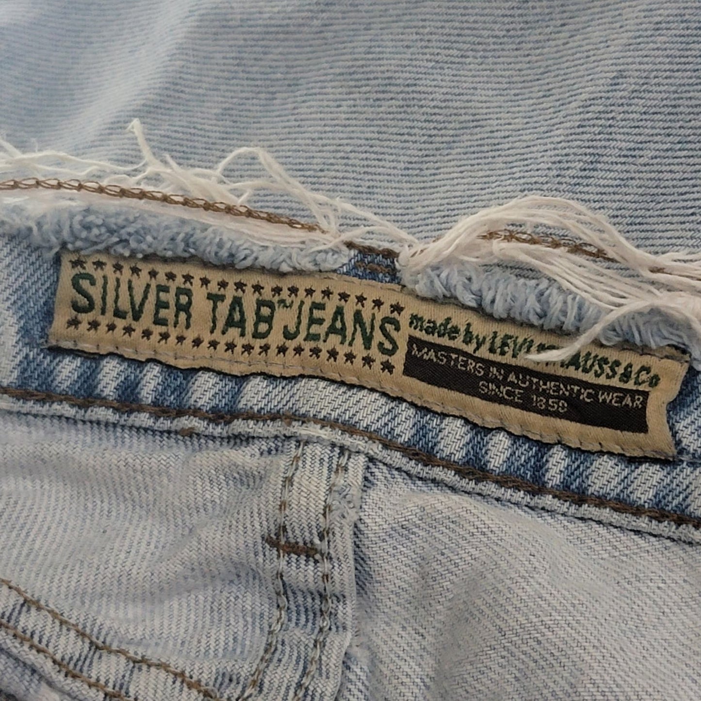 Vintage 90s THRASHED Ripped Distressed Levi Silvertab Baggy Jeans