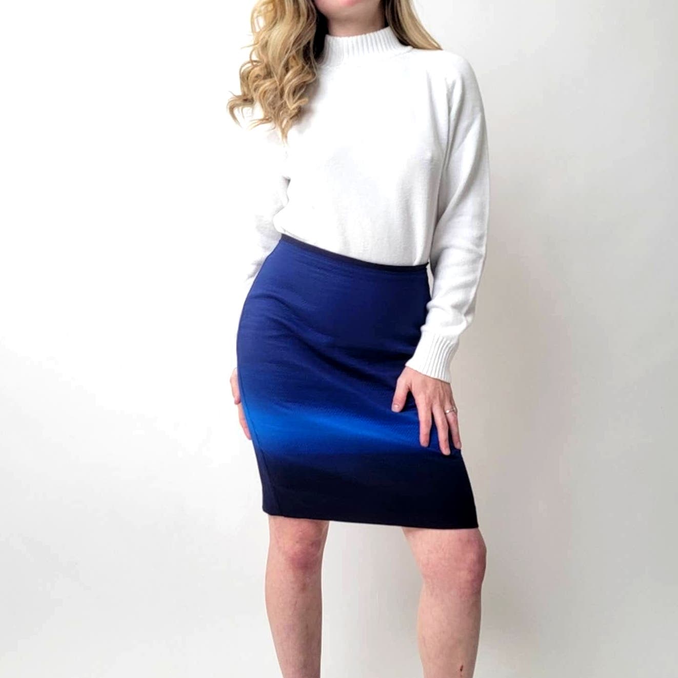 Ann Taylor LOFT Ombre Pencil Skirt - 4P