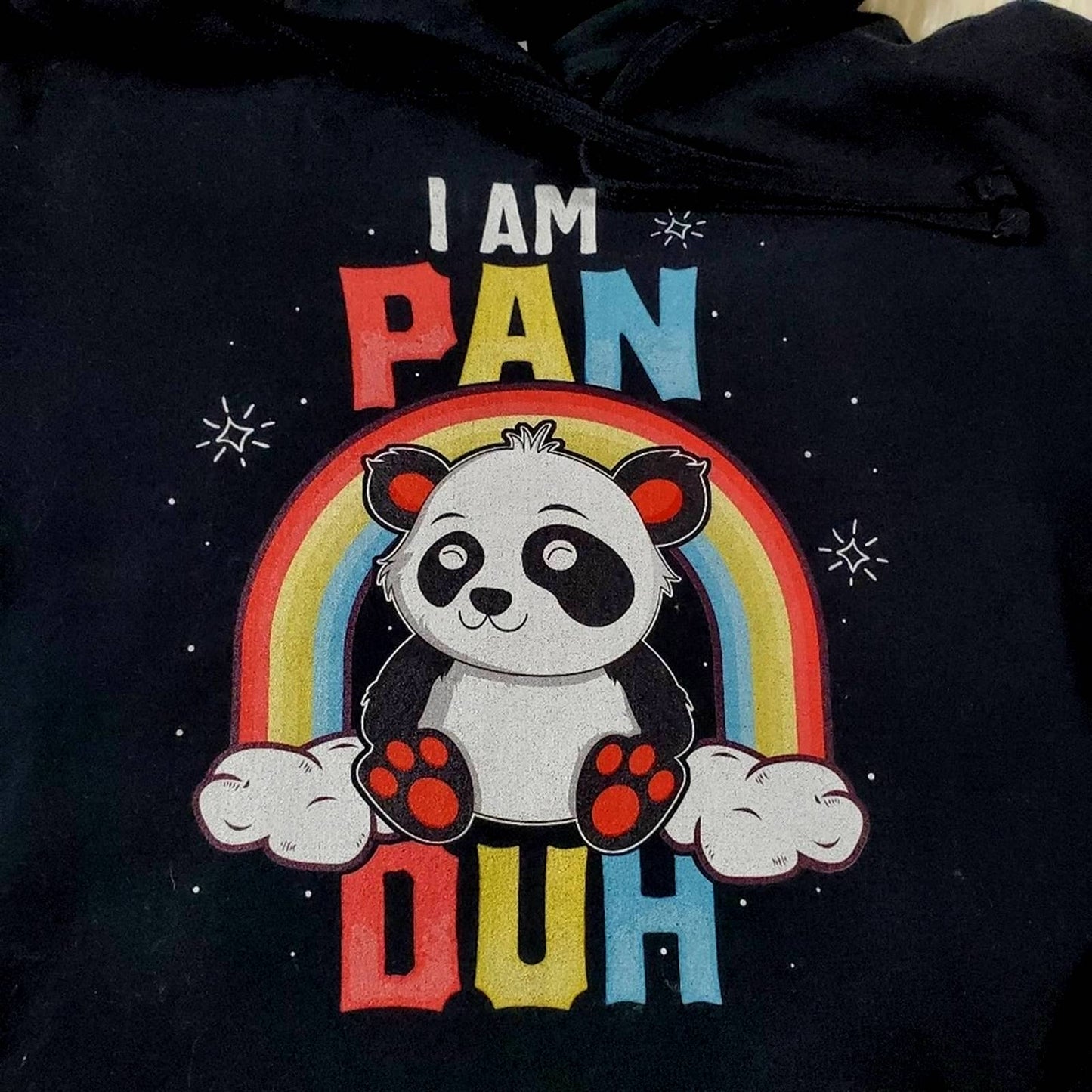 Pansexual Pride Rainbow Panda Hoodie Sweatshirt - L